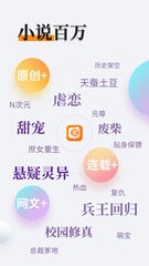 世界杯平台下注APP